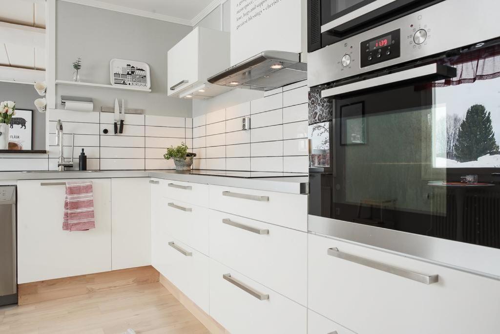 Ribo Apartment Arctic キルナ エクステリア 写真